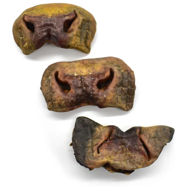 Beef Snout Dog Chew Long Lasting Dental Hygene Natural Heathy Hypoallergenic - Image 3