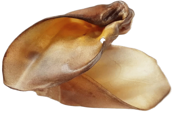 Plain Buffalo Ears Natural, Healthy, Low Fat Crunchy Dog Treats - Image 3