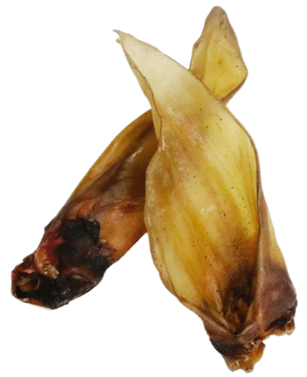 Plain Buffalo Ears Natural, Healthy, Low Fat Crunchy Dog Treats - Image 4