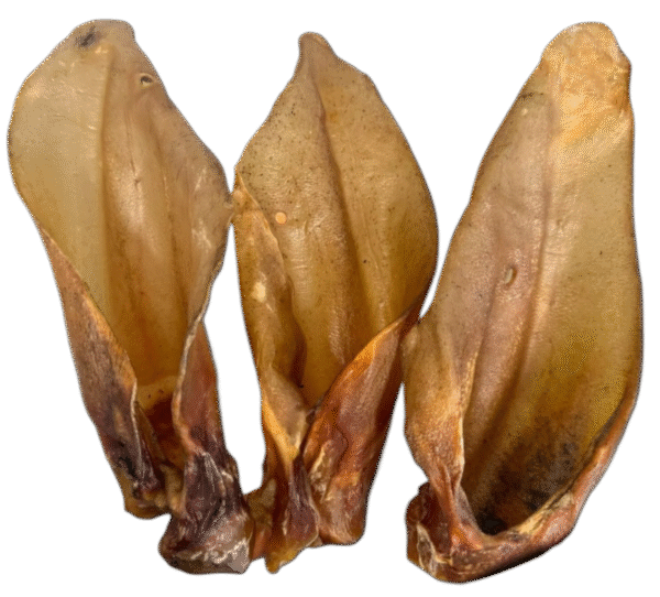 Plain Buffalo Ears Natural, Healthy, Low Fat Crunchy Dog Treats