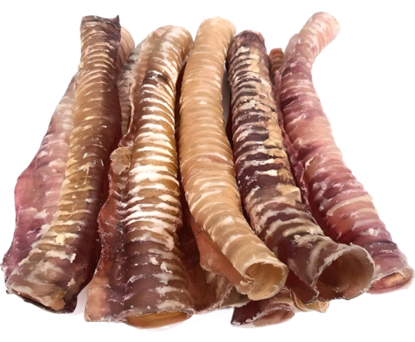 Dehydrated Long (40cm) Buffalo Trachea Air Dried Natural Offal Based No Additives Chewy Dog Treats - Image 3
