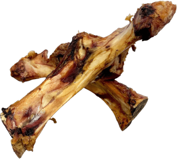 Postman's Leg Bone Long Lasting Chew Big Dog Dental Hygene