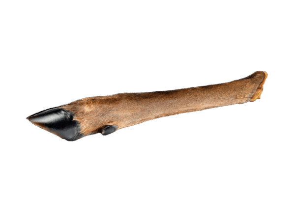 Hairy Deer Leg Natural Goodness Crunchy Dental Health