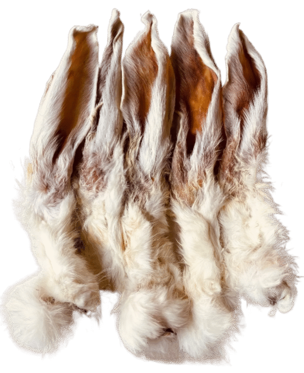 Rabbit Ears Natural Wormer Crunchy Healthy Dog Treats (with fur)